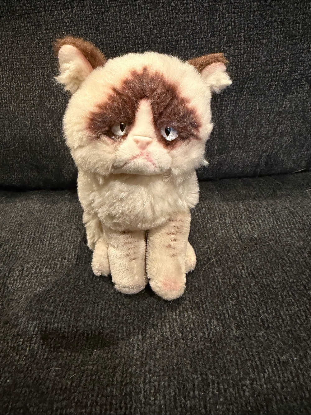 Grumpy cat plush